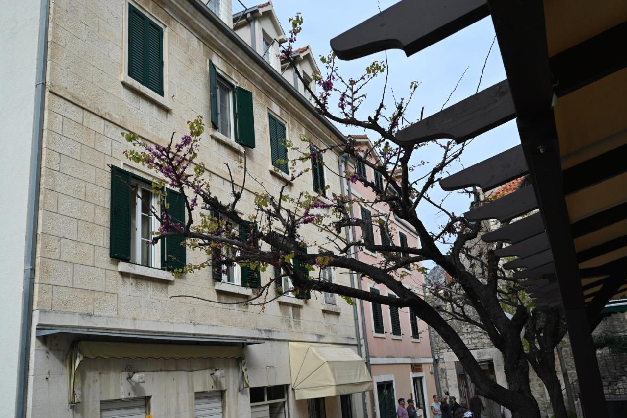 Apartament Dominovic